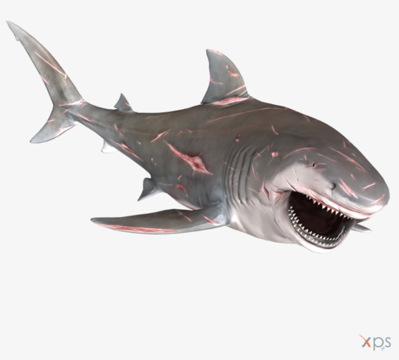 Bull Shark Png Graphic Transparent Stock - Great White Shark, transparent png #677218