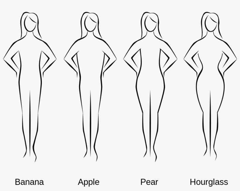 File - Bodyshapes - Svg - Body Shapes, transparent png #677514