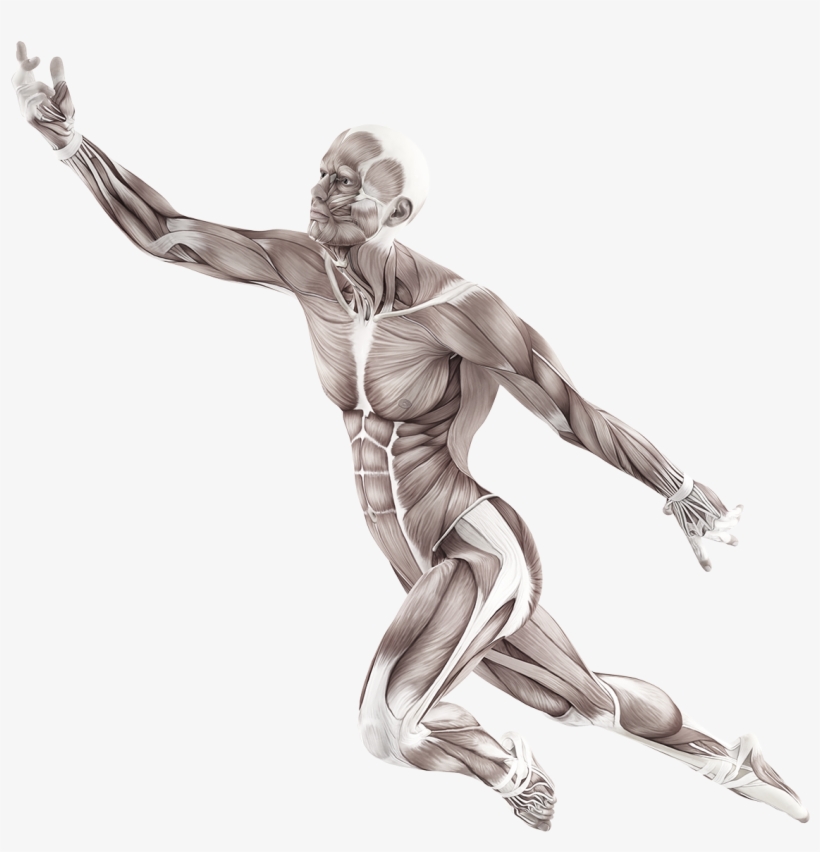 Mat® Masters Courses - Body In Motion Png, transparent png #677908
