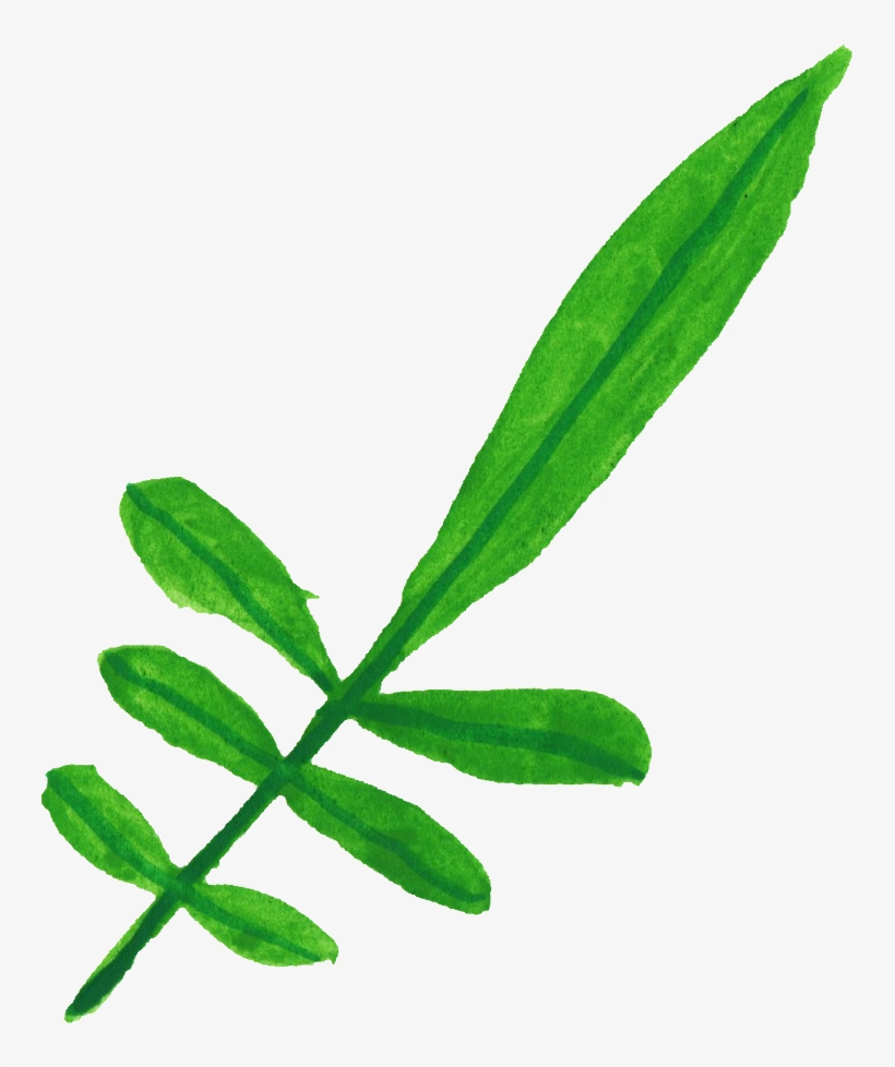 Free Download - Calligraphy, transparent png #677955