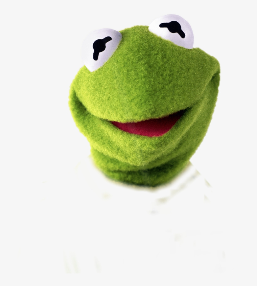 Real Life Kermit The Frog, transparent png #678186