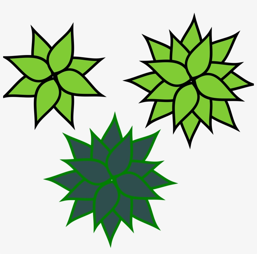 Agave Png, transparent png #678319