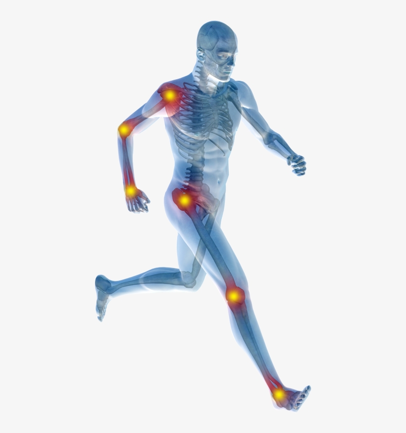 Human-body - Herbalife Xtra Cal Benefits, transparent png #678323
