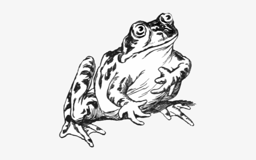 Frog Clip Art - Three Sunsets And Other Poems [book], transparent png #678565