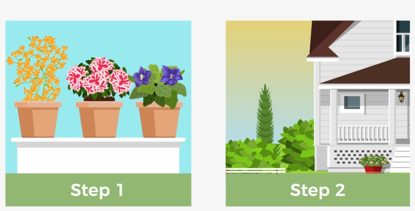 Do You Want It To Add A Bit Of Green Around The Outside - Flowerpot, transparent png #678590