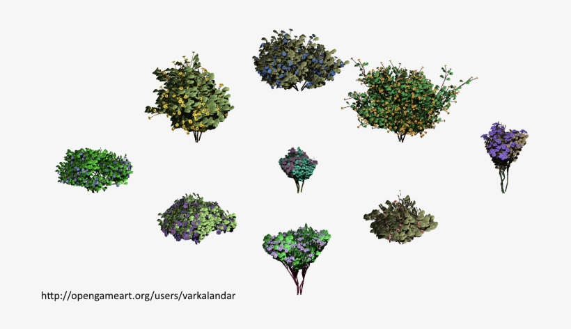 Hjm Randomized Forbs 03 Alpha - Illustration, transparent png #678778