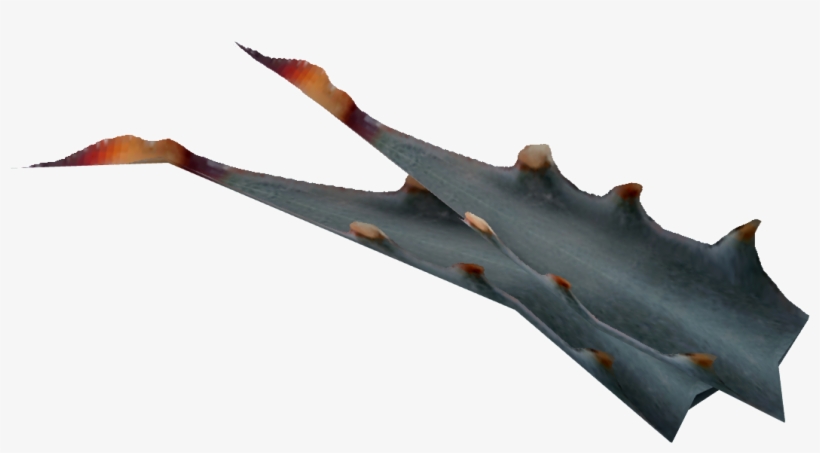 Nevada Agave Fruit - Nevada Fruit, transparent png #678927