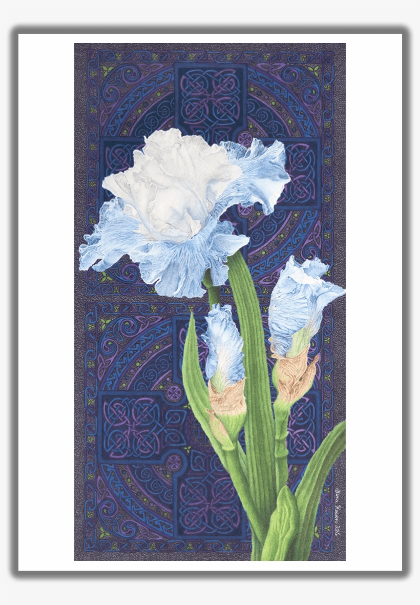 Abiding Faith Blue Iris Greeting Card - *blank Card, transparent png #679063