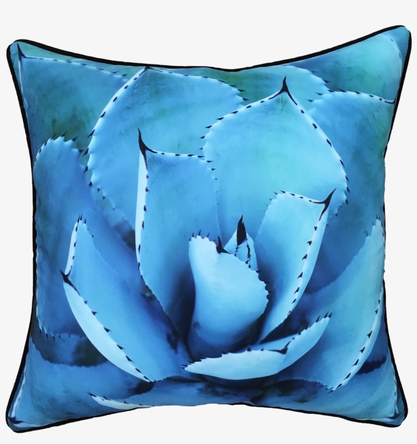Golden Succulent Canvas Print, Oliver Gal Size: 20", transparent png #679167