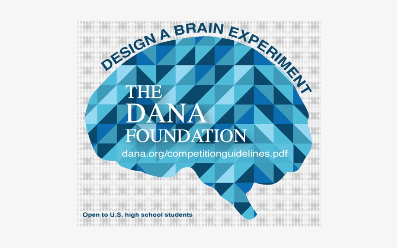 Fb Icon Final Png - Dana Foundation, transparent png #679715