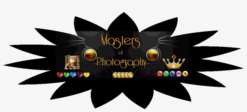 Masters Of Photography, transparent png #6700099