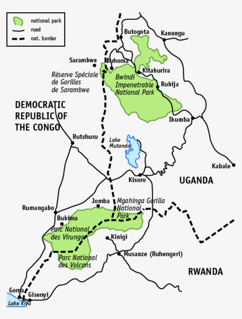 Mountain Gorilla, transparent png #6700223