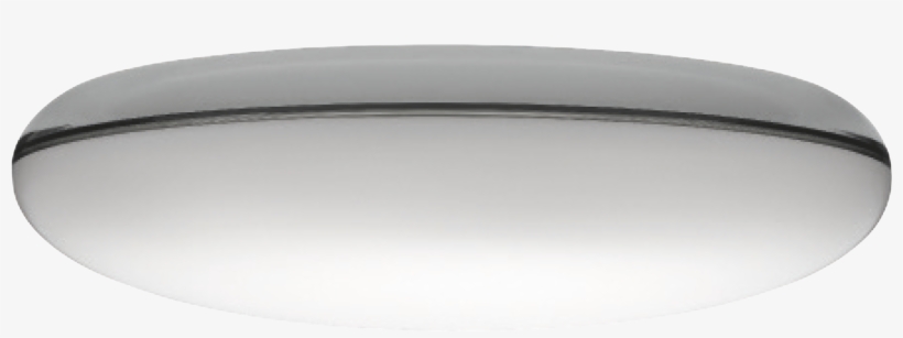 Silverback, transparent png #6700488