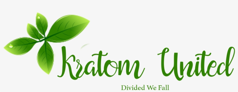 How Can Kratom Be Complicit If It Is Not Quantified, transparent png #6700967