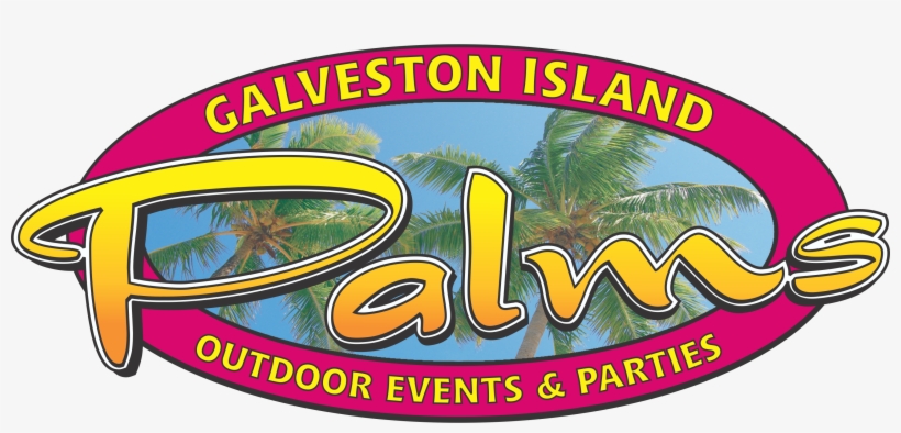 Galveston Island Palms, transparent png #6701659