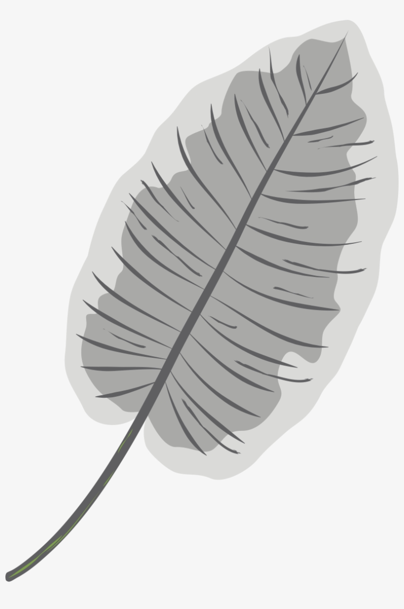 White Kratom, transparent png #6702288