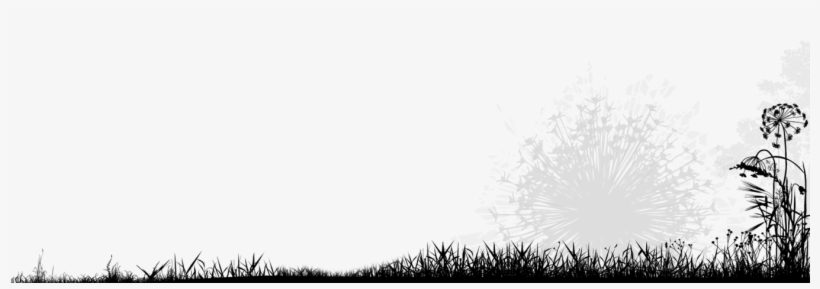 2016 I All Rights Reserved I Simbambili, transparent png #6702968