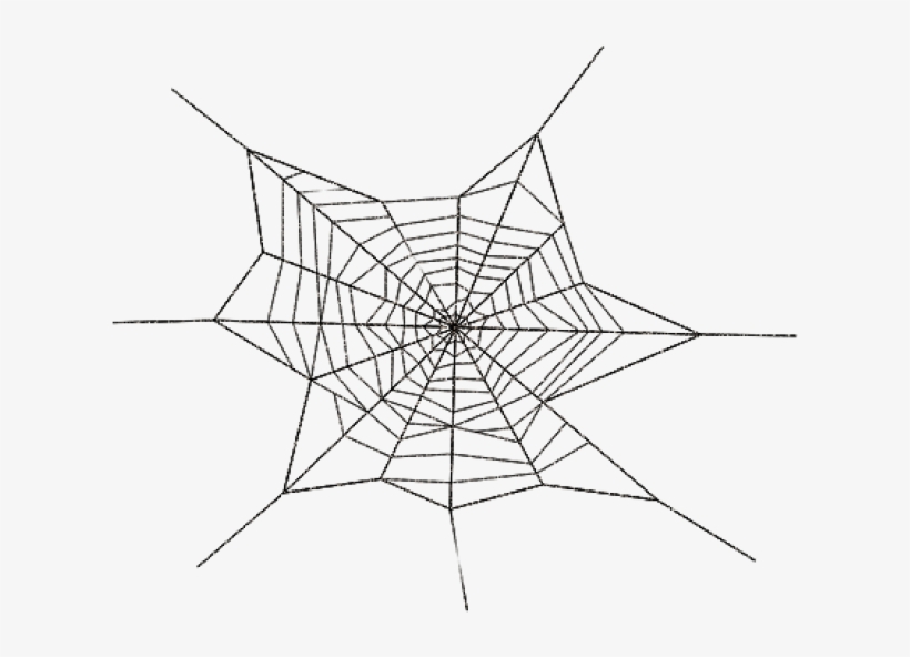 Permalink To Spider Web Png Wedding Clipart, transparent png #6703678