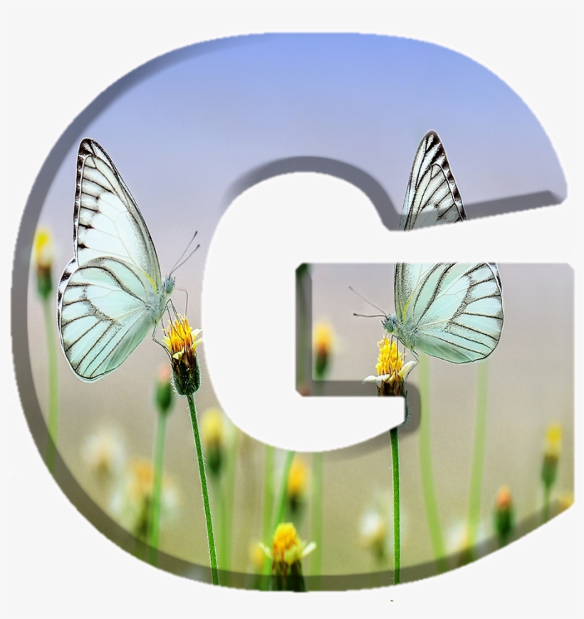 Alfabeto Decorativo Borboletas Png, transparent png #6706897
