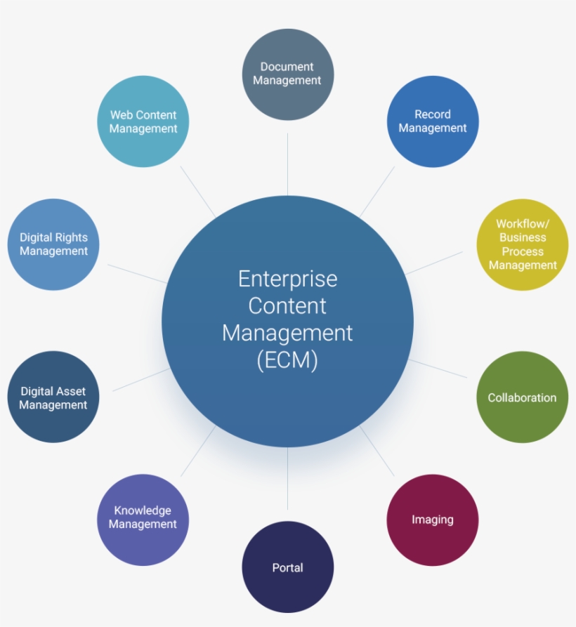 Social Media, Etc, transparent png #6709885