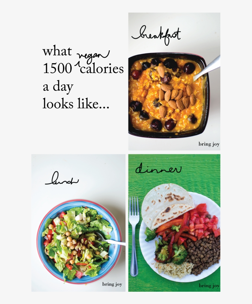 What Does 1500 Calories Look Like // Bring-joy, transparent png #6712059