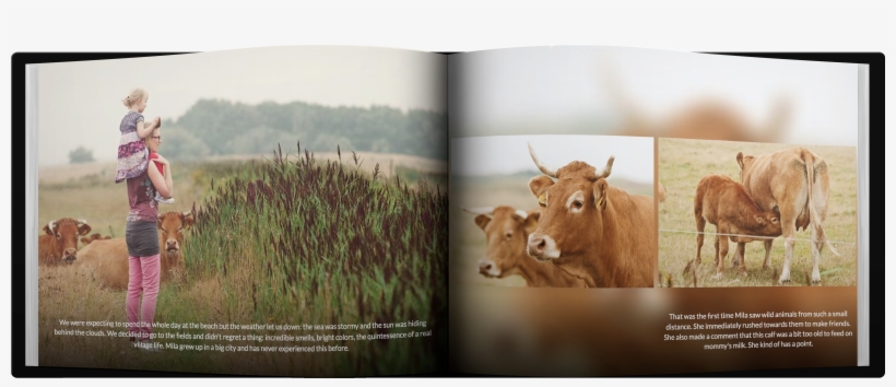 Cover Comparison Book, transparent png #6712475