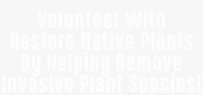 Volunteer With Restore Native Plants By Helping Remove, transparent png #6713105