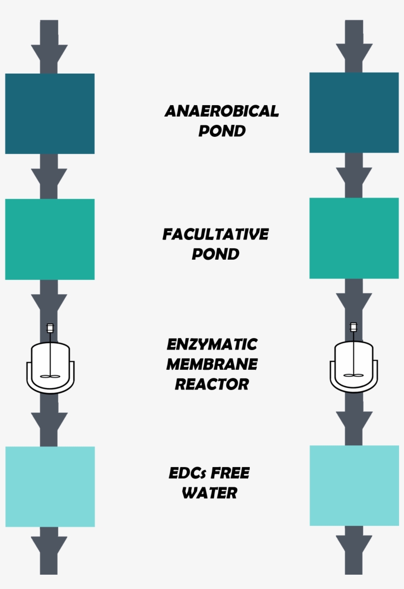 Our System Would Be Implemented At The End Of The Regular, transparent png #6714551