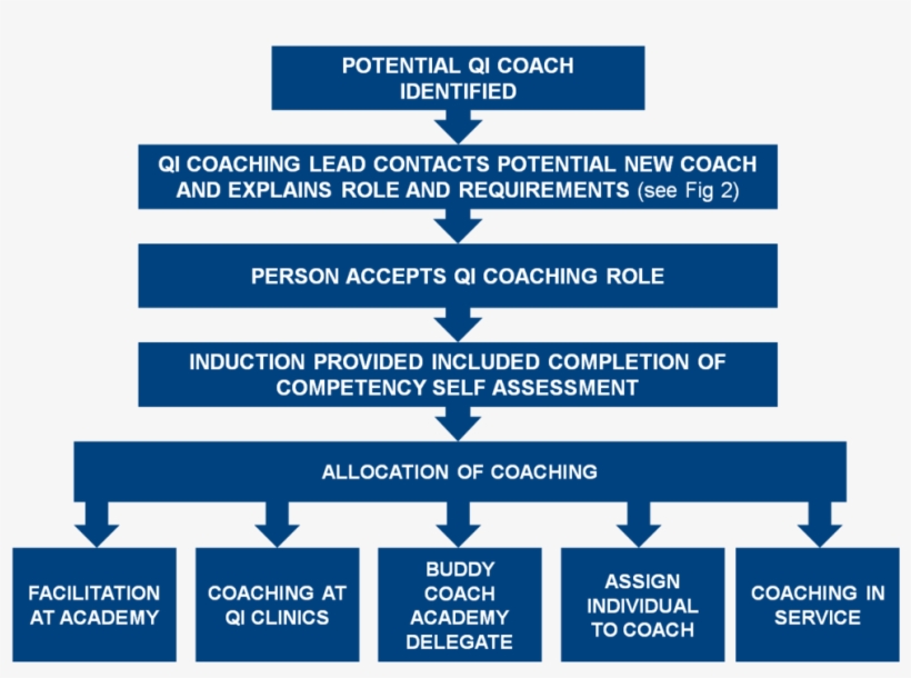 Qi Coaching New Coach, transparent png #6718764