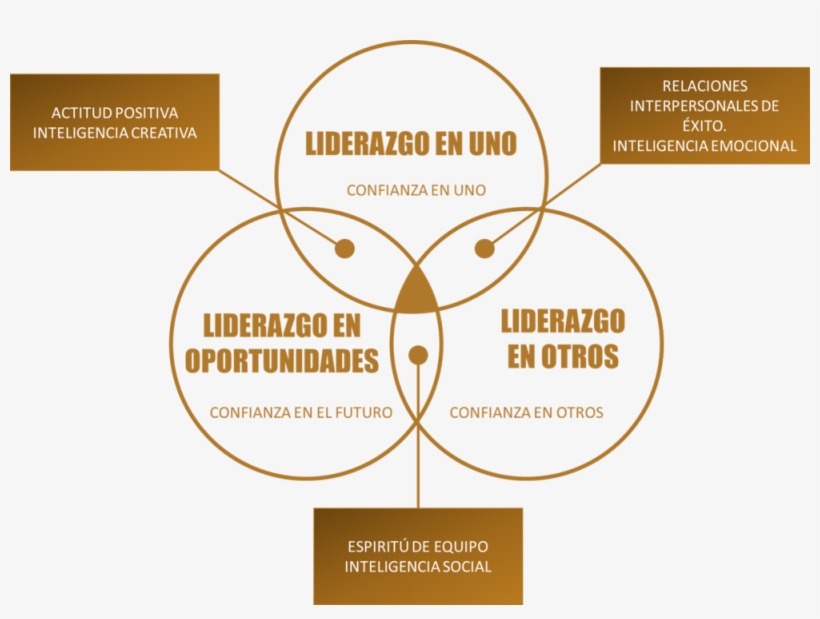 Modelo Lider Coach, transparent png #6719236