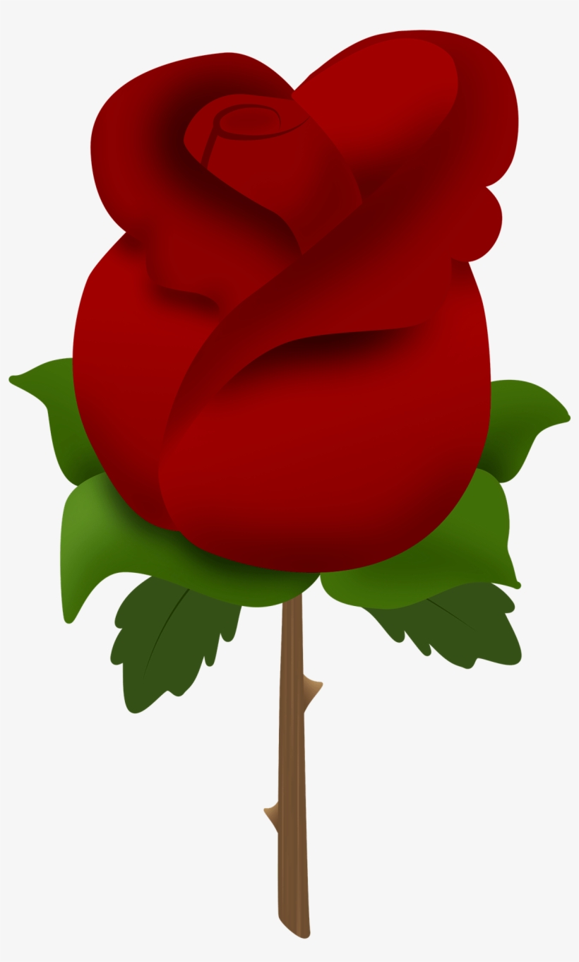 Rose, transparent png #6721886