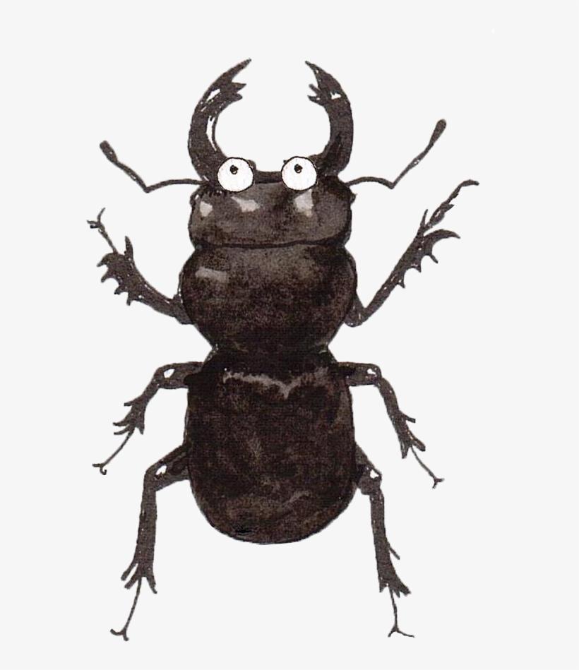 And To Finish Off, Some Birds That Appear In Australia, transparent png #6721900