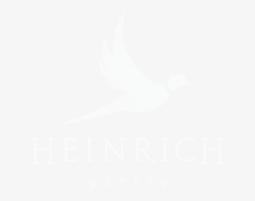 Facebook, transparent png #6722443