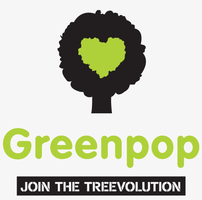 Square Png Image, transparent png #6725261