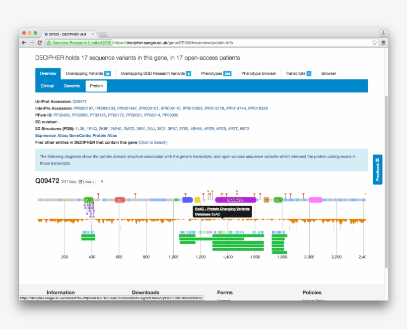 The Decipher Project On Twitter, transparent png #6727724