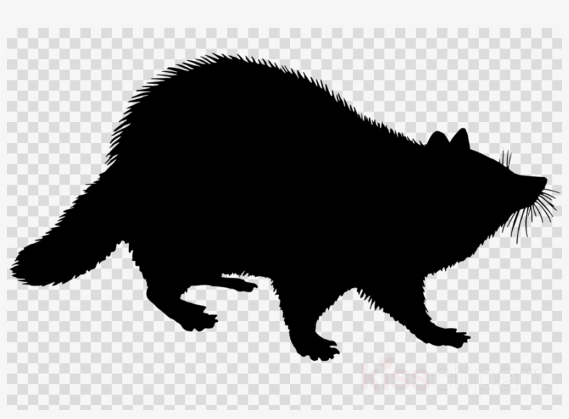 Download Raccoon Silhouette Clip Art Clipart Raccoon, transparent png #6734623