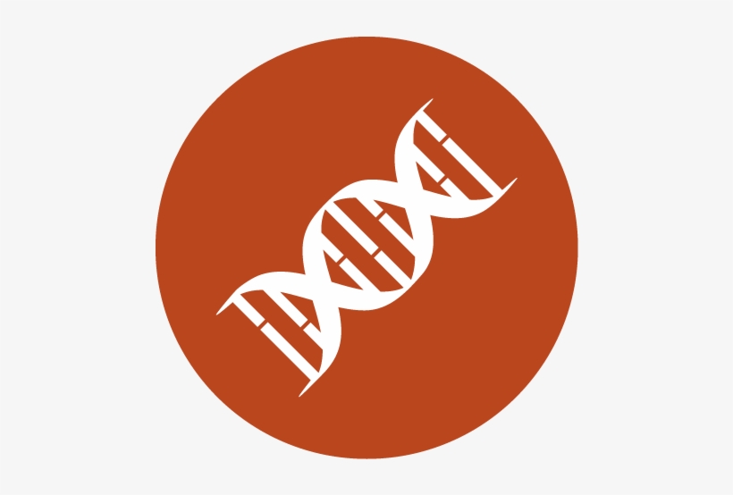 The Cambridge Bioscience Cdna Search Enables You To, transparent png #6735106