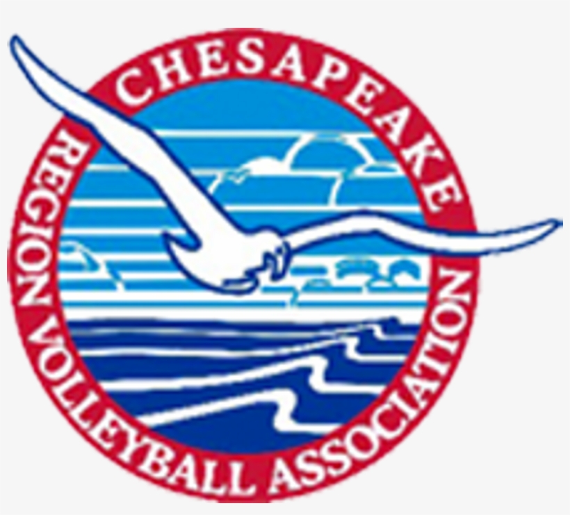 Youtube, transparent png #6737445