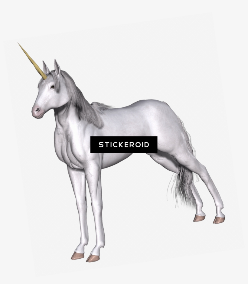 Full White Unicorn, transparent png #6740686