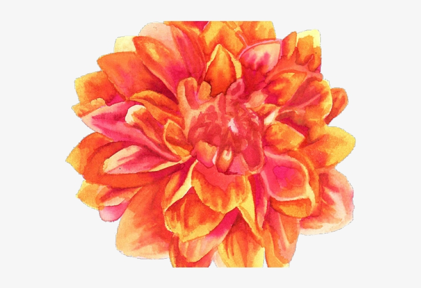 Petal Clipart Transparent Tumblr, transparent png #6741597