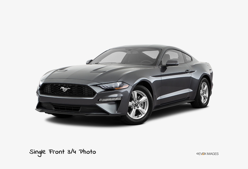 Request Information, transparent png #6742439