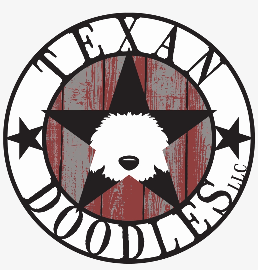 Png Logo Download, transparent png #6744178