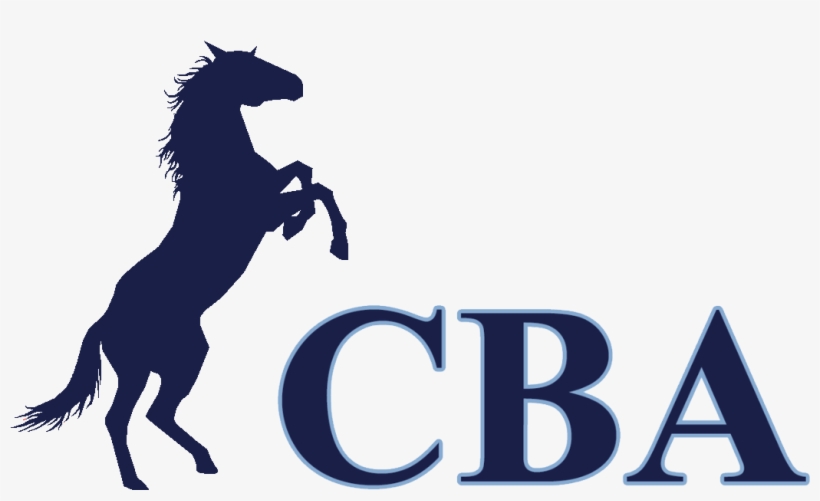 My Snapchat Geofilter For The Cba Campus Was Denied, transparent png #6745095