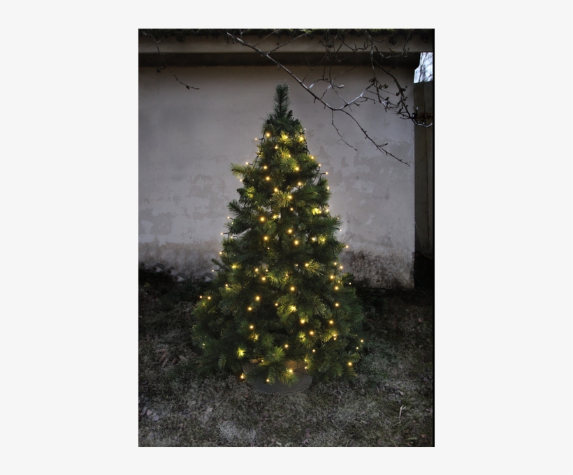 Christmas Tree Light Serie Led, transparent png #6745758