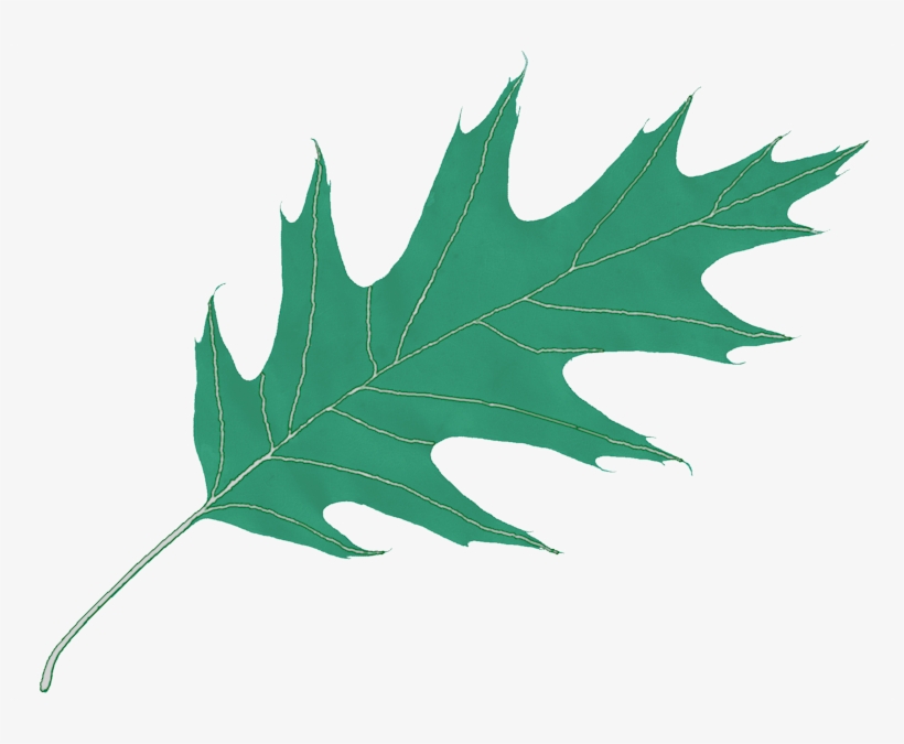 Free Icons Png, transparent png #6746183