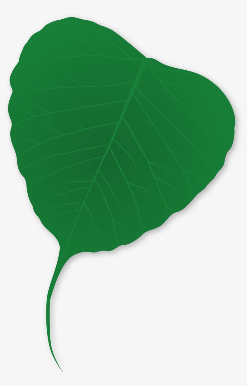 This Free Icons Png Design Of Ginko Leaf, transparent png #6746429