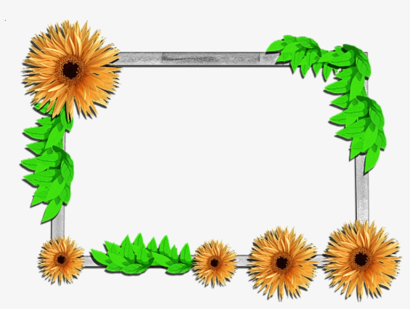 Free Png Best Stock Photos Flowers Frame Background, transparent png #6747178