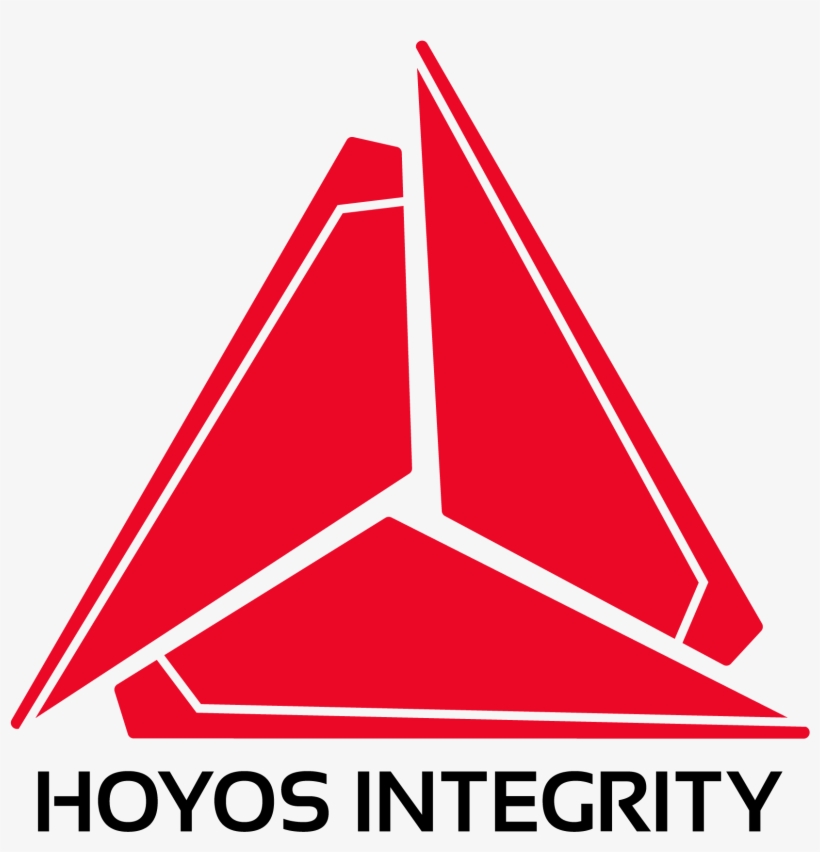 Hoyos Vsn Logo White, transparent png #6751948