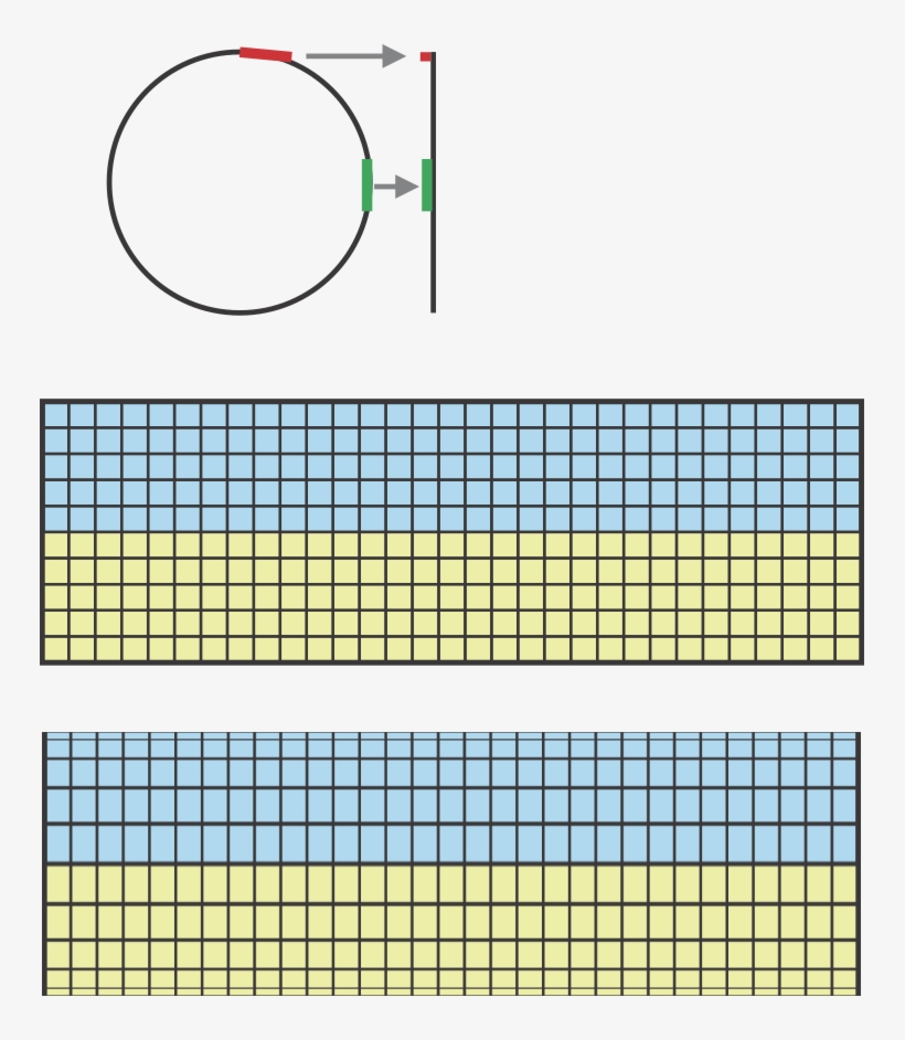 Enter Image Description Here, transparent png #6753040