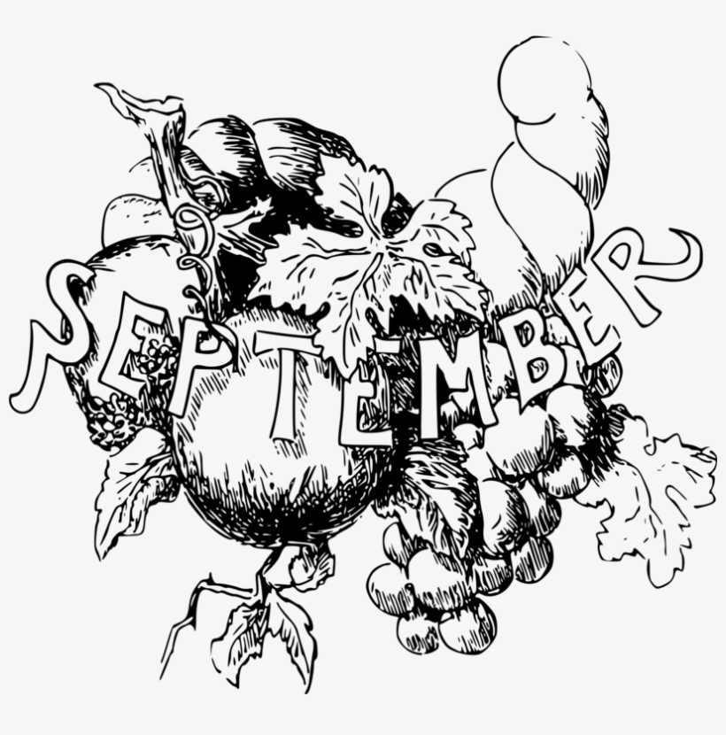 Black And White Drawing Computer Icons Line Art Download, transparent png #6753284